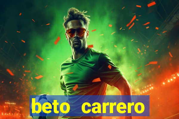 beto carrero cidades proximas